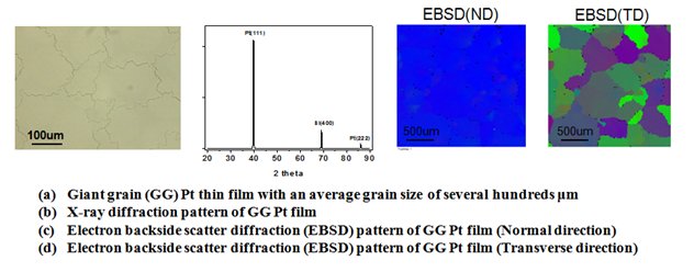 fig07